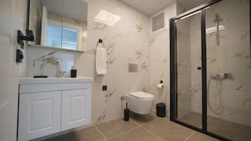 A modern bathroom with a glass shower enclosure, a toilet, and a vanity with a mirror.