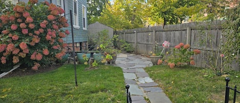 A stone pathway leading to a house with a wooden fence and flowering bushes.