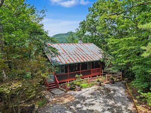 A rustic cabin with a metal roof, surrounded by dense forest.