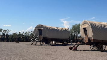 Twee overdekte karren met treden naar de ingang, staand op een grindpad met bomen op de achtergrond.