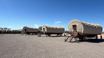 A series of covered wagons with steps leading up to the entrance, set on a gravel surface.