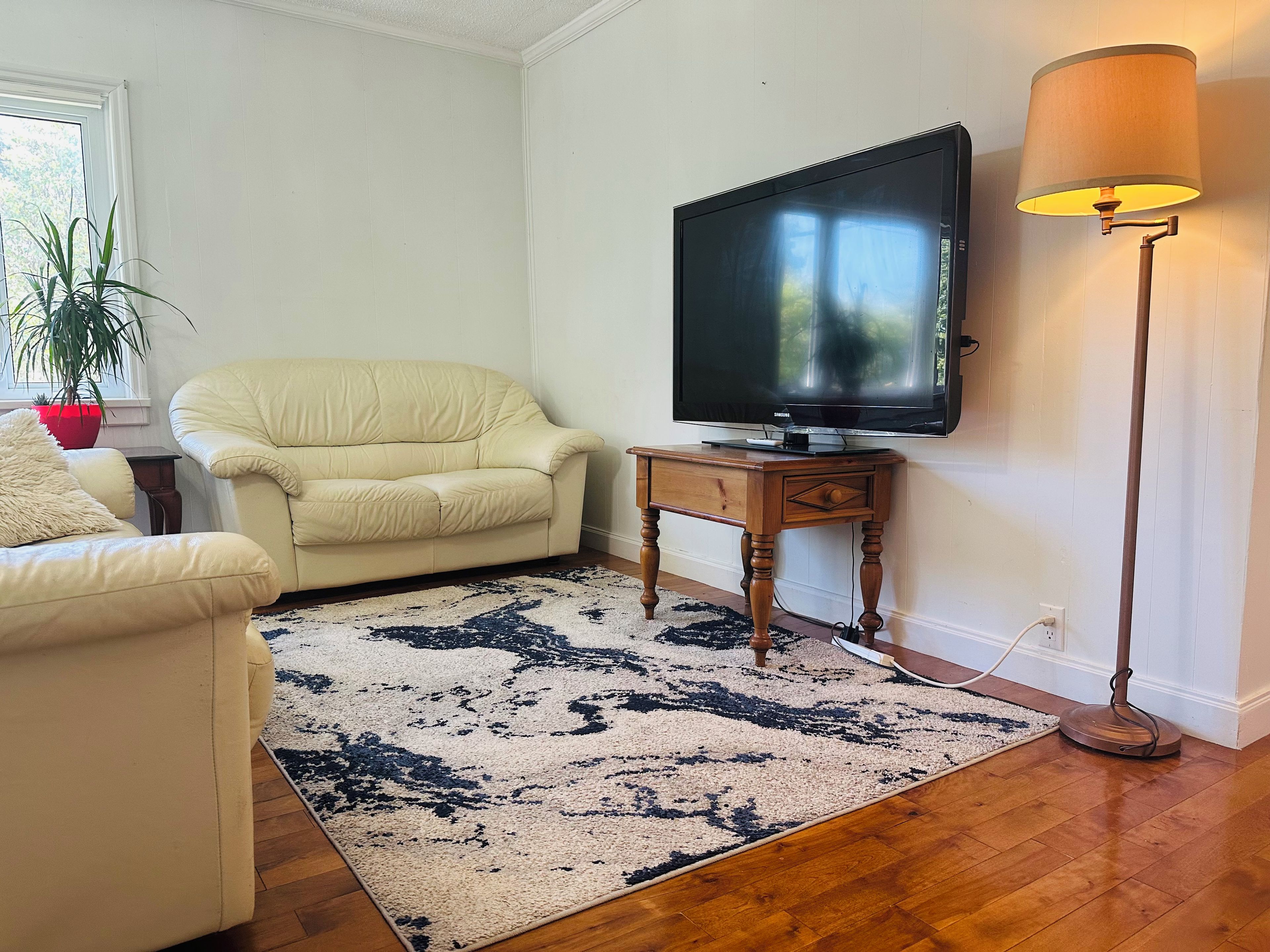 A living room with a sofa, a television on a stand, a lamp, and a patterned rug.