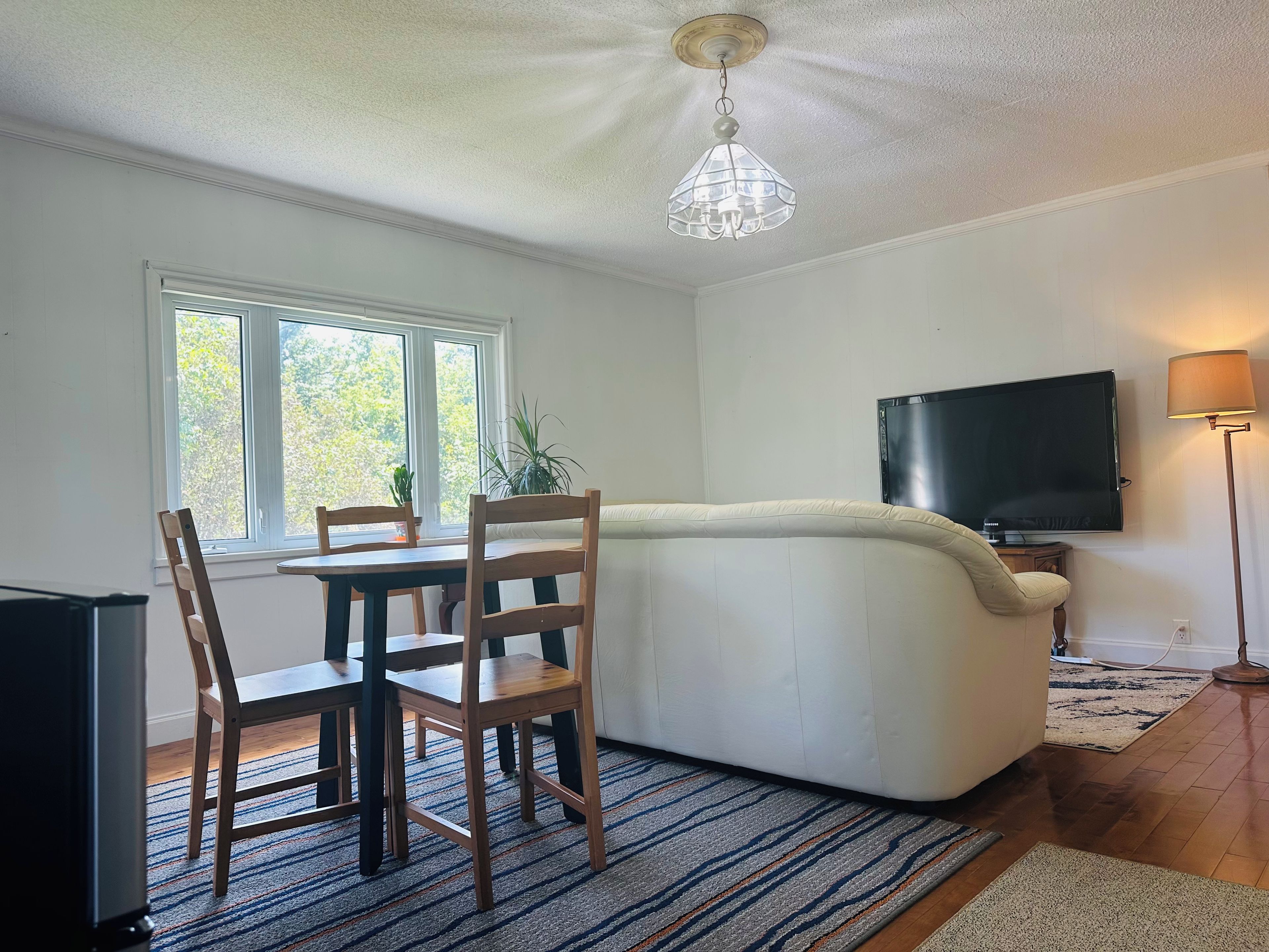 A living room with a sofa, a television, a dining table with chairs, a chandelier, and a window with plants.