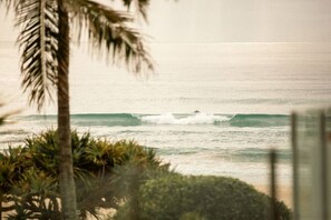A view of the ocean with waves, palm trees, and a distant person on a surfboard. - Waves 203 on Currumbin Beach (Currumbin)