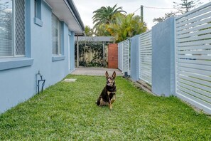 A dog sitting on grass in a backyard with a house and a fence. - Coastal House Palm Beach Retreat (Palm Beach)