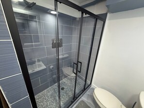 A modern bathroom with a glass shower enclosure, a toilet, and a sink. - The Business Class Suite (College Park)