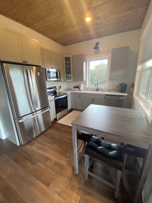A modern kitchen with stainless steel appliances, a wooden ceiling, and a large window. - Secluded Hot Springs Cabin with Mountain Views & Fire Pit (Hot Springs)