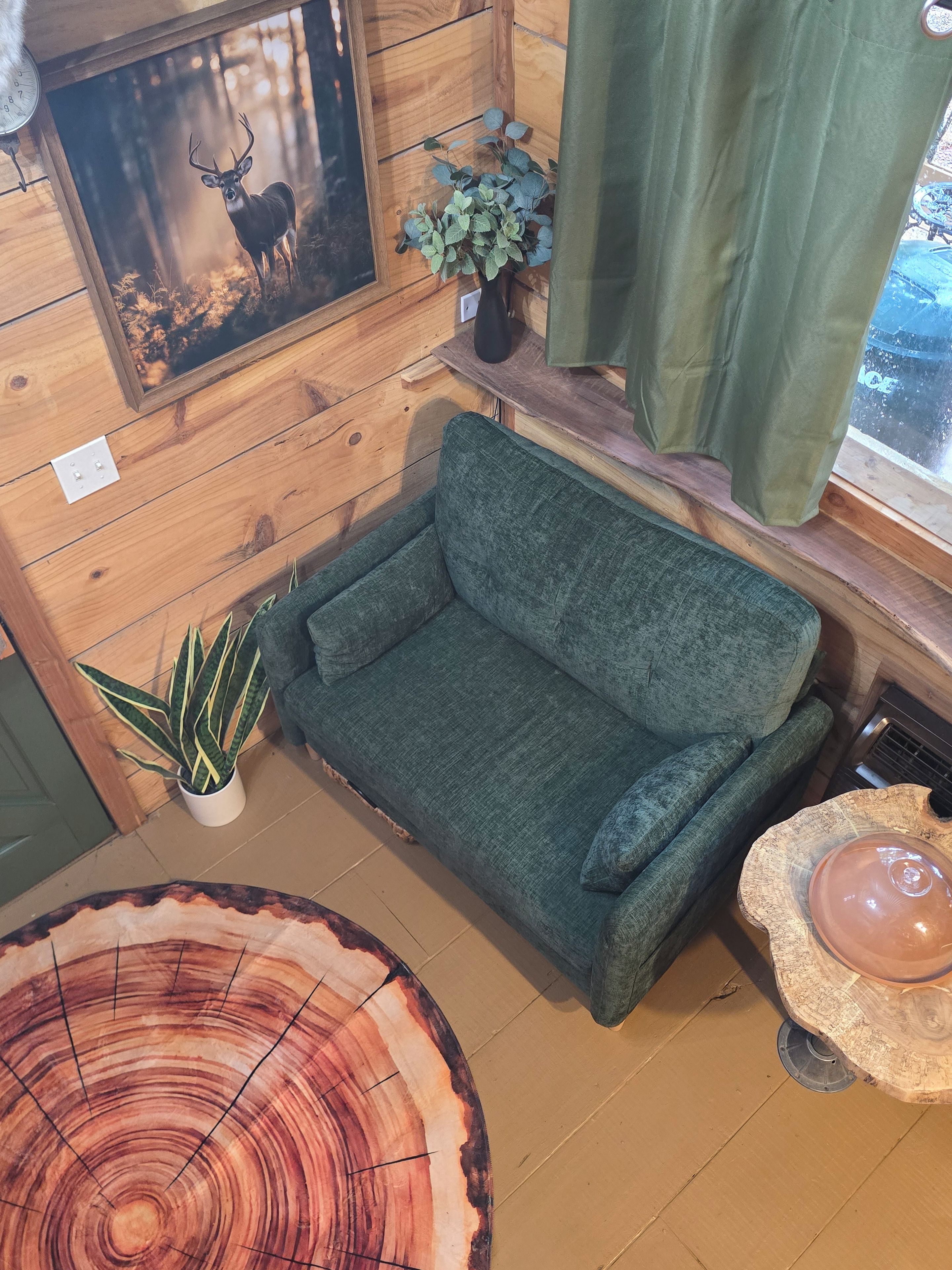 A cozy room with a green sofa, a framed deer picture, a potted plant, and a wooden table with a tree ring design.