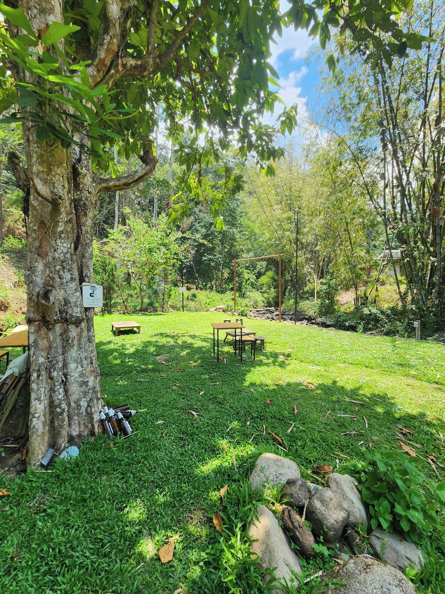 Un espacio al aire libre con césped, mesas de picnic y un árbol.