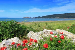 A coastal landscape with a view of the sea, a rocky foreground with red flowers, and a distant hill with buildings. - Holiday home with a/c (Talamone)