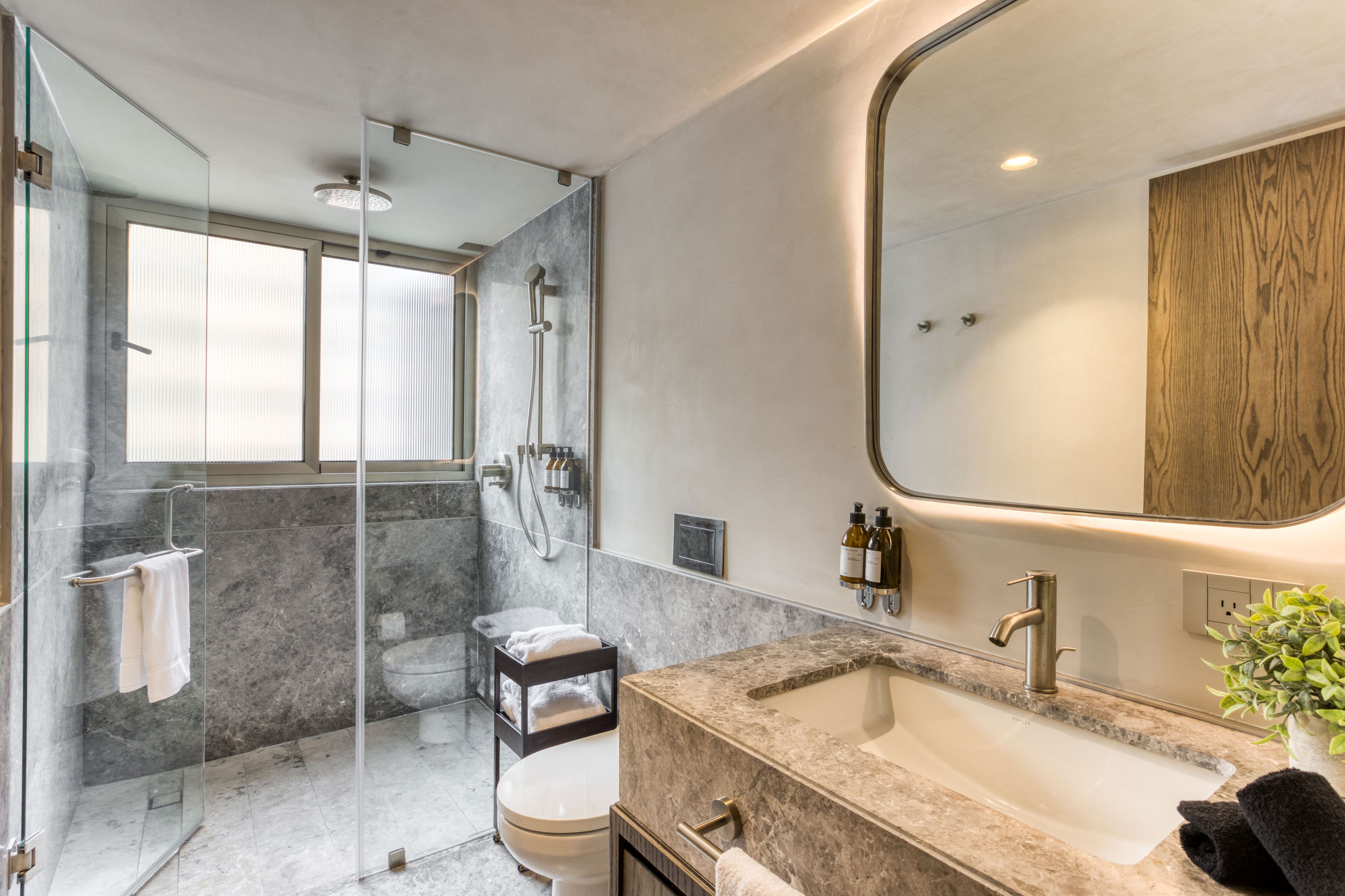 A modern bathroom with a glass shower enclosure, a toilet, a sink with a large mirror, and a plant on the countertop.