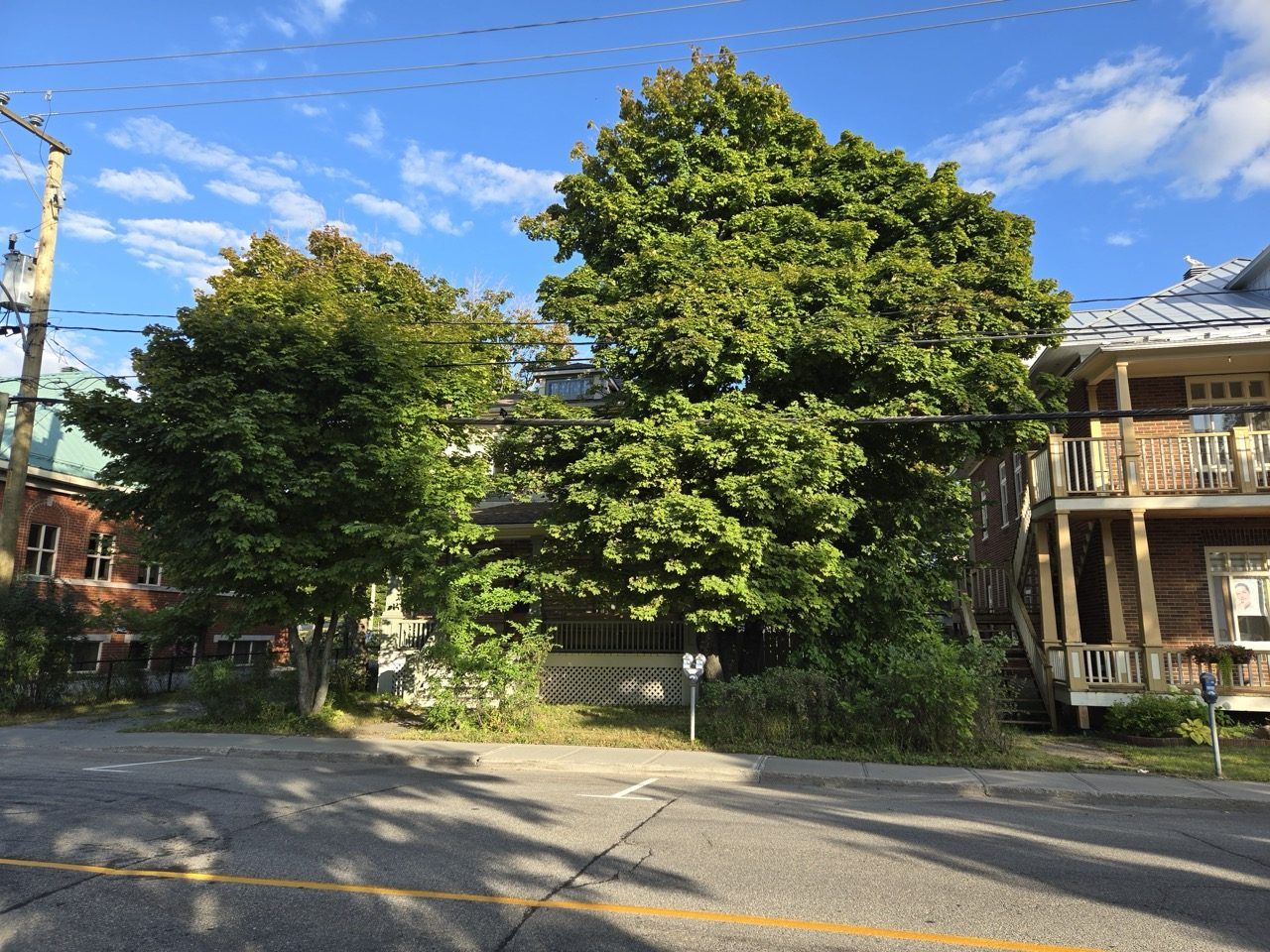 A residential street with a large tree, a two-story house with a balcony, and a parking meter.