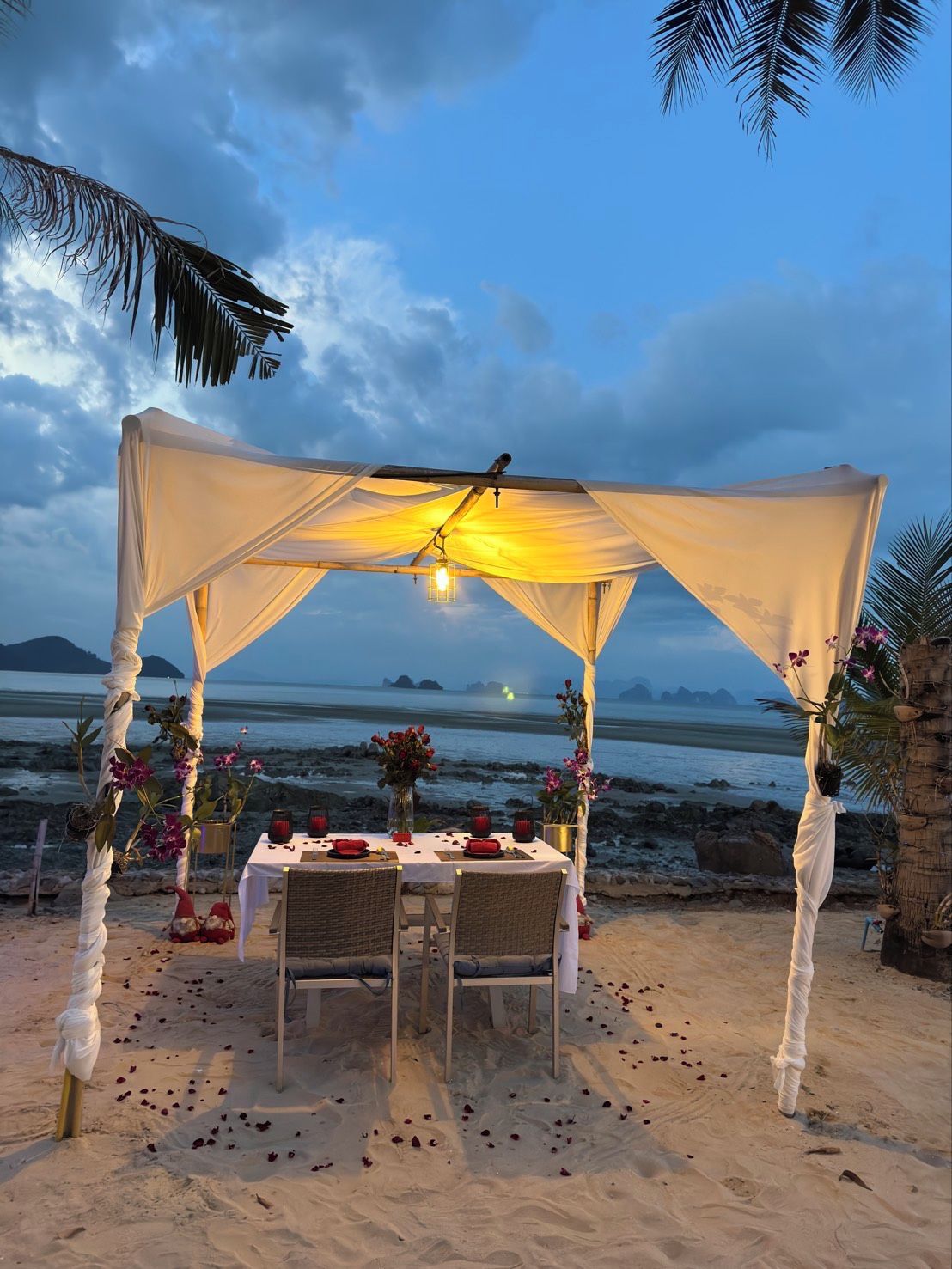 A beachside dining setup with a canopy, tables, chairs, and decorative flowers.