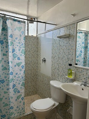 Un baño con ducha, inodoro, lavabo y espejo.