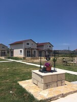 Un barrio residencial con casas, un sendero pavimentado y una jardinera de piedra con flores.