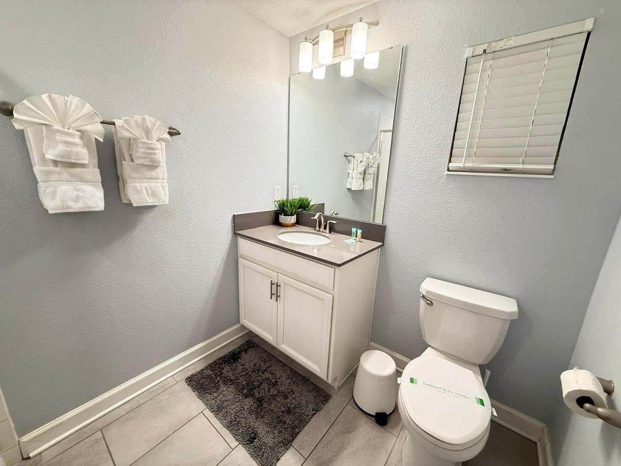 A bathroom with a toilet, sink, mirror, towel rack, and a small rug.