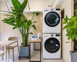 Una habitación pequeña con lavadora, una mesita y una planta en maceta.