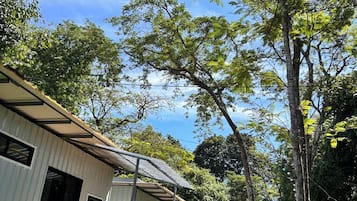 A row of single-story cabins with a covered porch area, surrounded by trees and a clear sky.