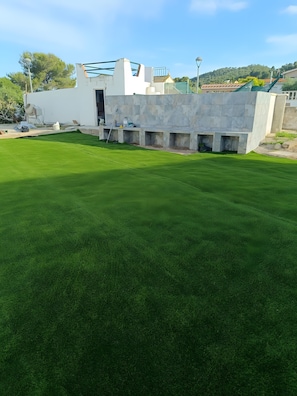 A well-maintained lawn with a modern building structure in the background.
