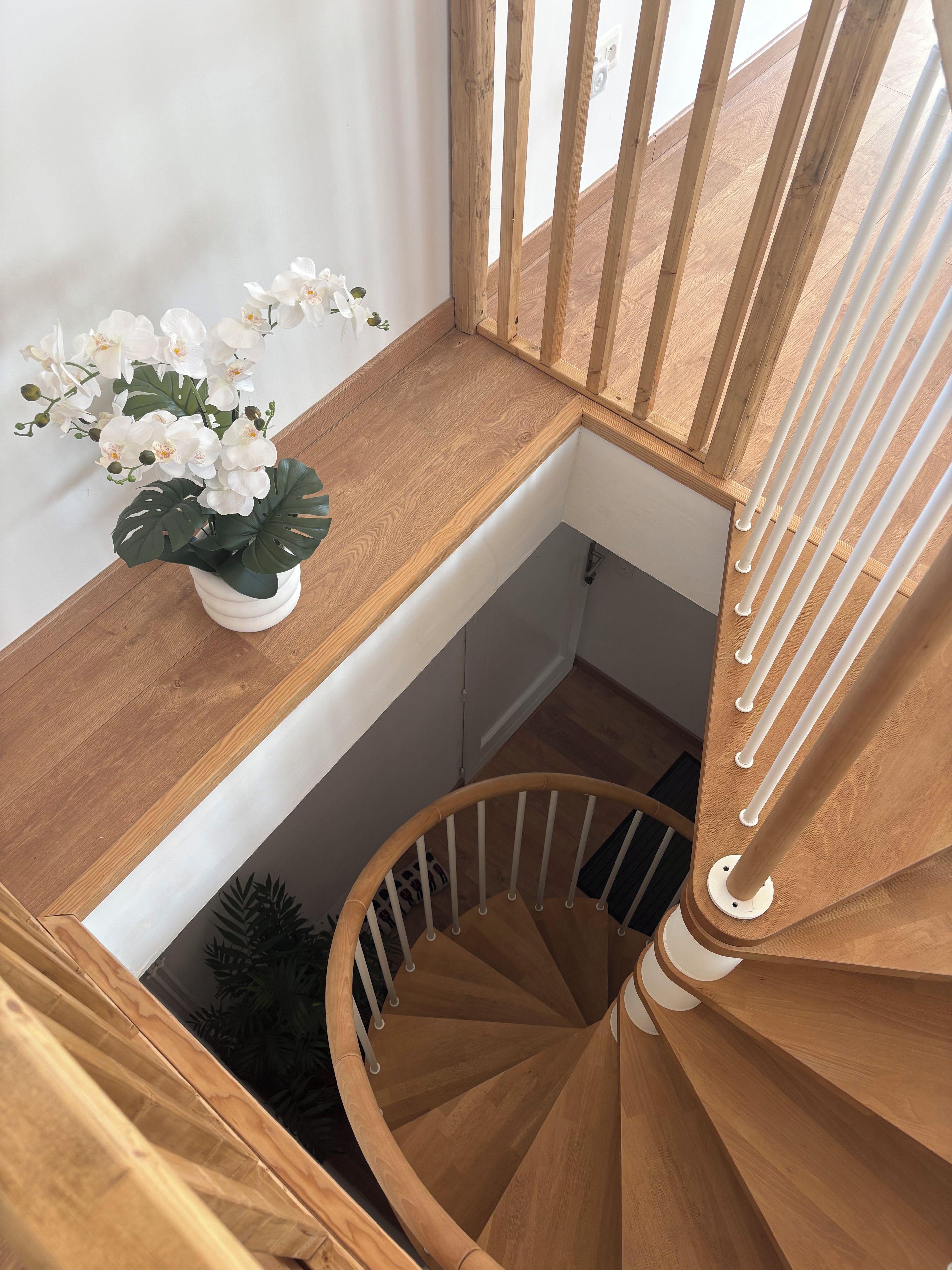 Un escalier en bois, un mur blanc et une plante orchidée en pot.