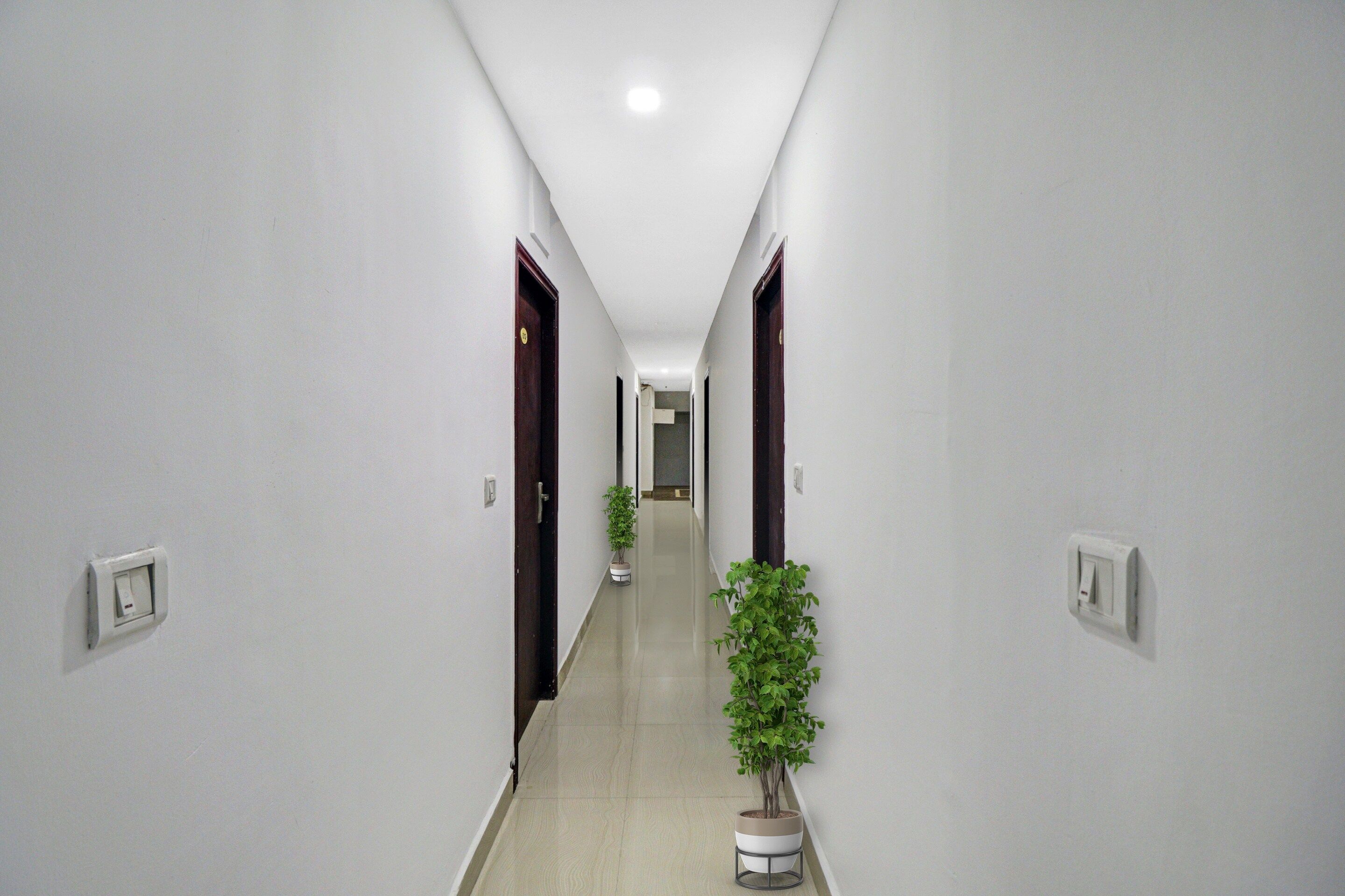 Um corredor com portas em ambos os lados, um vaso de planta ao centro e interruptores de luz nas paredes.