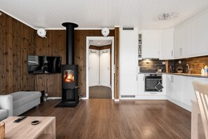 A modern living room with a fireplace, a flat-screen TV, and a sofa. - GV19– Family-Friendly Cabin at Trysilfjellet Arena (Trysil)