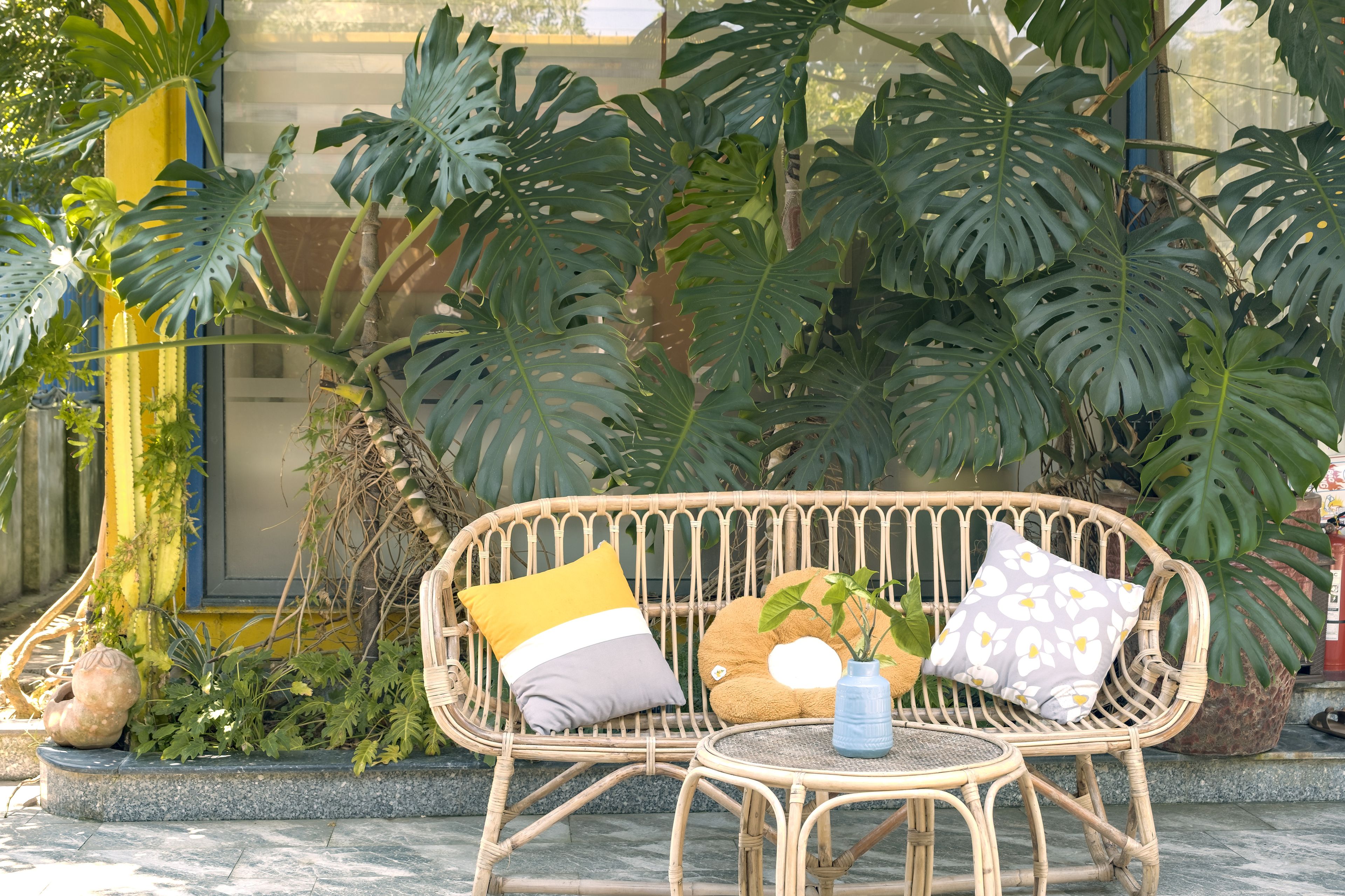 A wicker sofa with cushions, a small round table, and a potted plant.