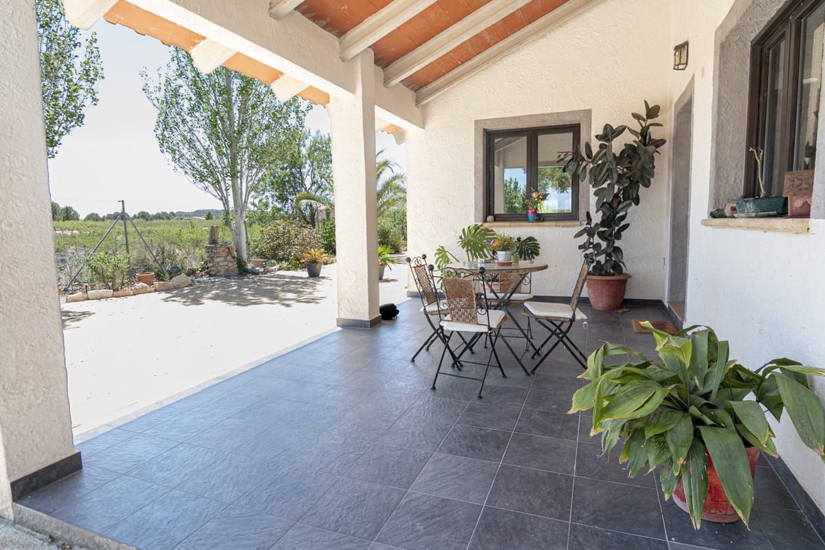 A covered patio area with a table and chairs, surrounded by potted plants and a view of the outdoors.