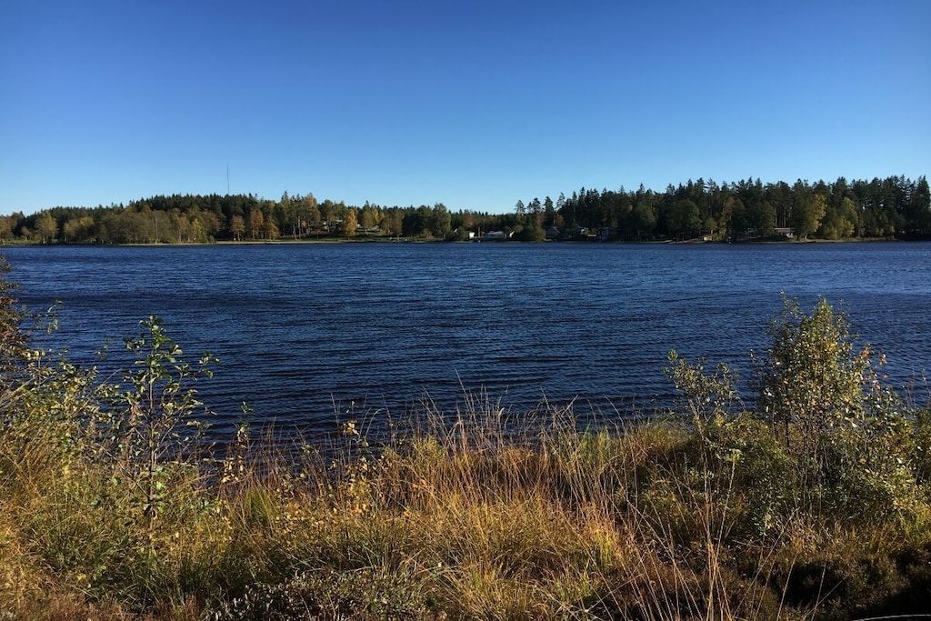 A calm lake with a forested shoreline and a clear sky.