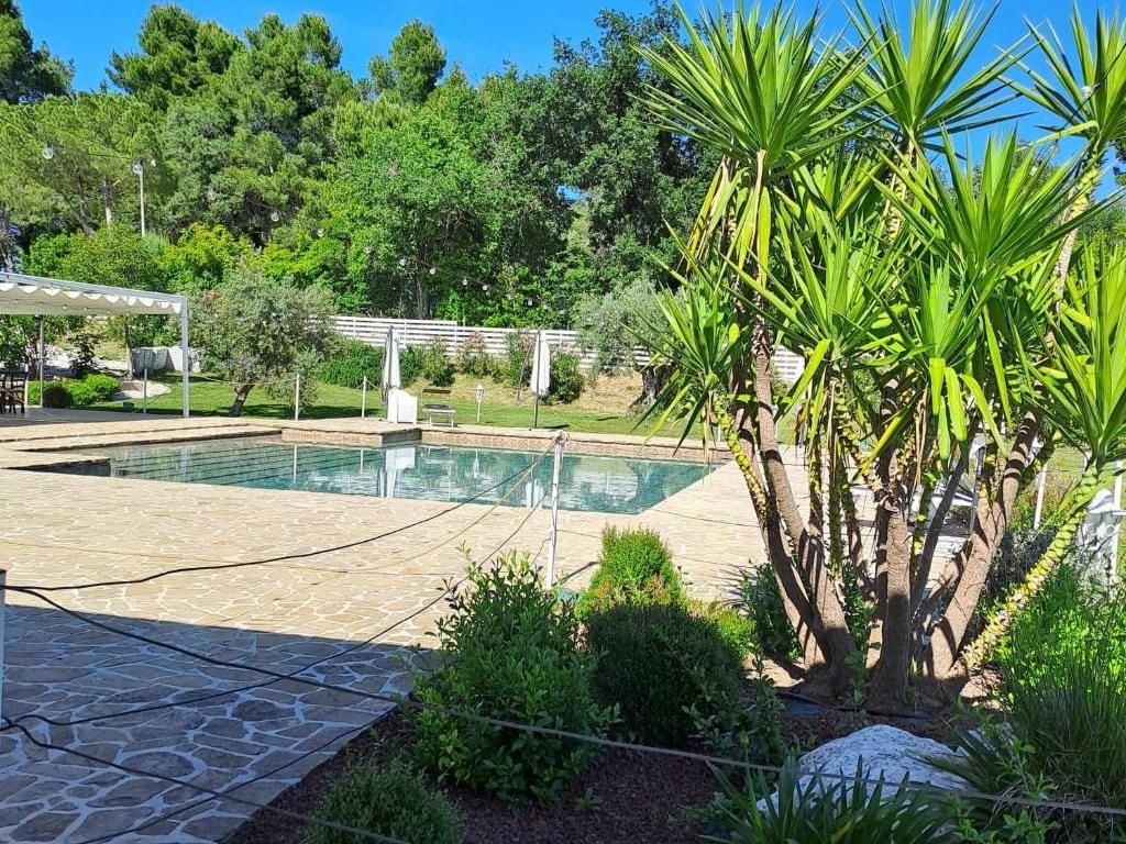 Ein Schwimmbecken mit einer Steinterrasse, umgeben von Grünpflanzen und einer Pergola.