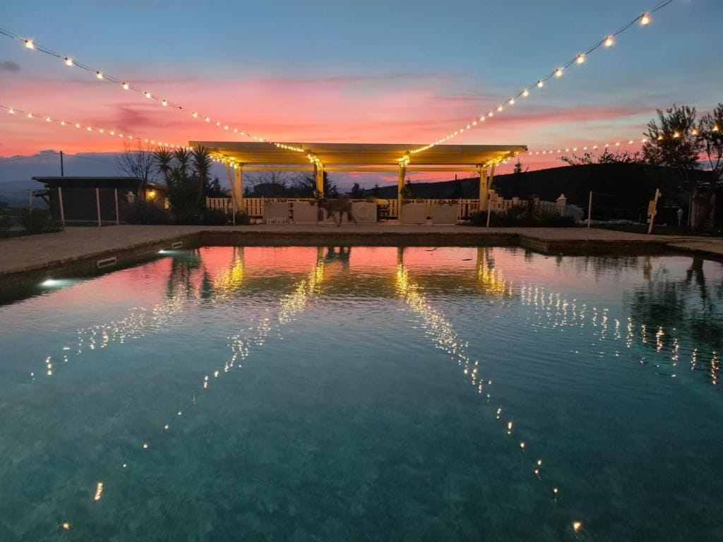 A swimming pool with a covered area and string lights, surrounded by a clear sky.