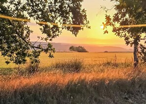 A field with a tree in the foreground and a distant tree on the horizon. - 2 bedroom accommodation in Colyton (Colyton)