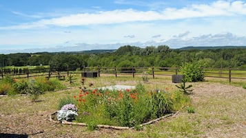 Un paysage rural avec une clôture en bois, une table de pique-nique et une variété de plantes à fleurs.