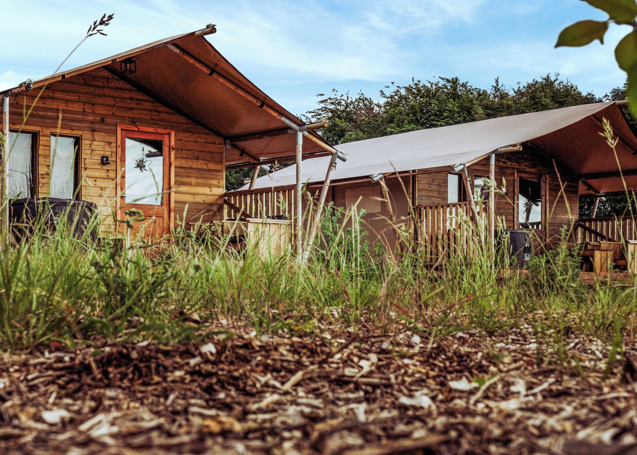 Une cabane en bois dotée d’un porche, entourée d’herbes hautes et d’arbres.