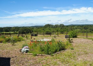 Paisagem rural com cerca de madeira, mesa para piquenique e diversas plantas floridas.