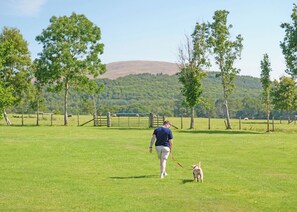 A person walking a dog in a grassy field with trees and a fence. - Premium 2 Bedroom Holiday Home - Pet Friendly (Bassenthwaite, near Keswick)