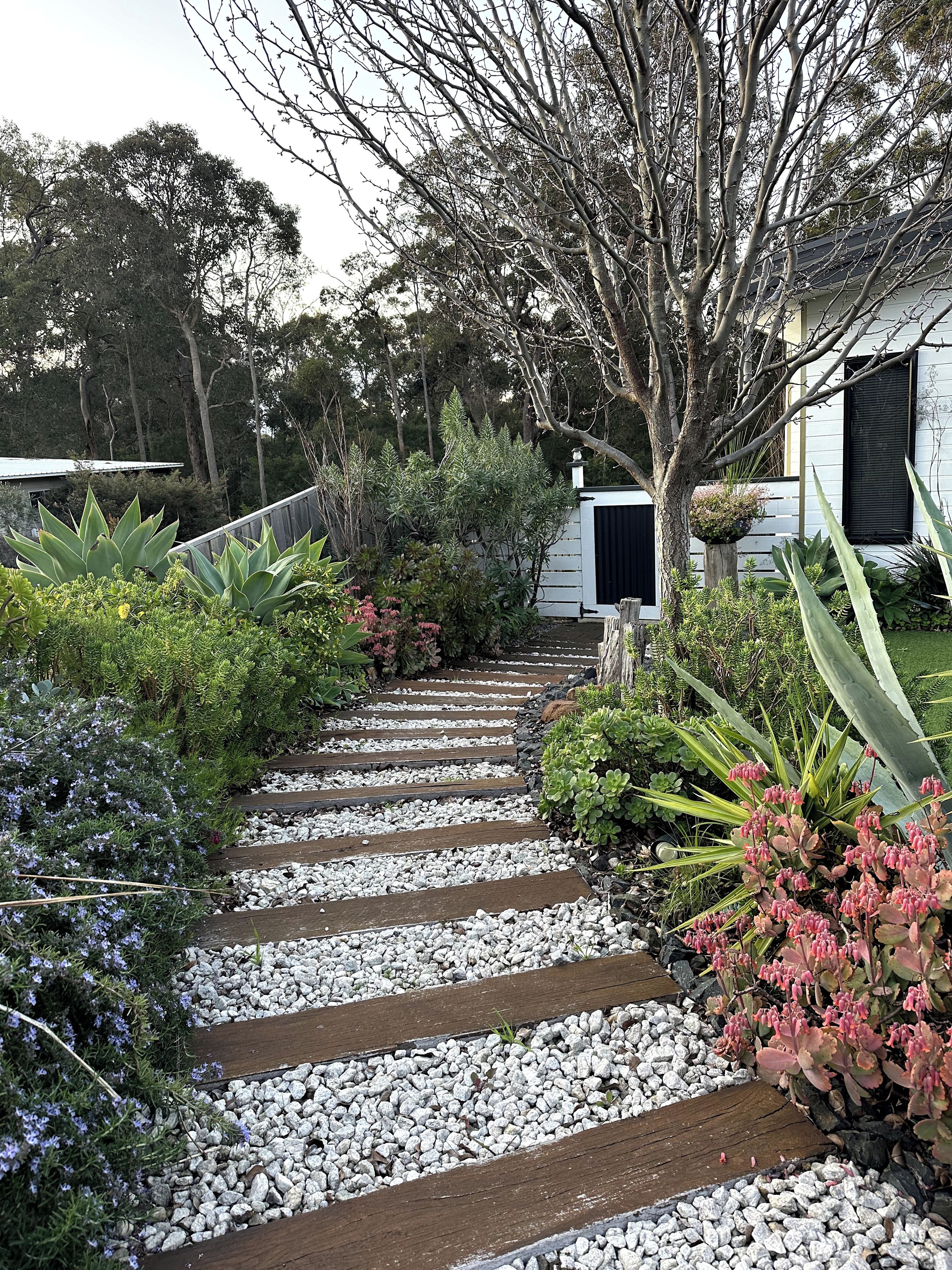 A pathway leading to a house with a white exterior, surrounded by various plants and trees.