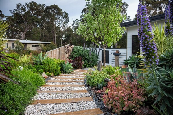 A garden with a wooden pathway, various plants, and a building in the background.