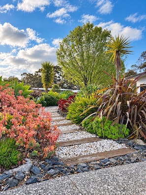 A garden pathway with various plants and a wooden fence.