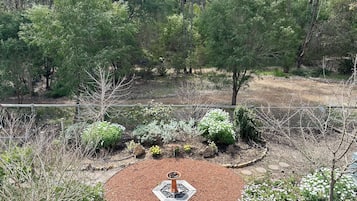 Un jardin aménagé avec une zone centrale circulaire où se trouve une fontaine, le tout étant entouré de diverses plantes et de rochers.