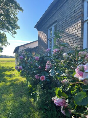 Ein Backsteinhaus mit einem Rosengarten in Rosatönen.