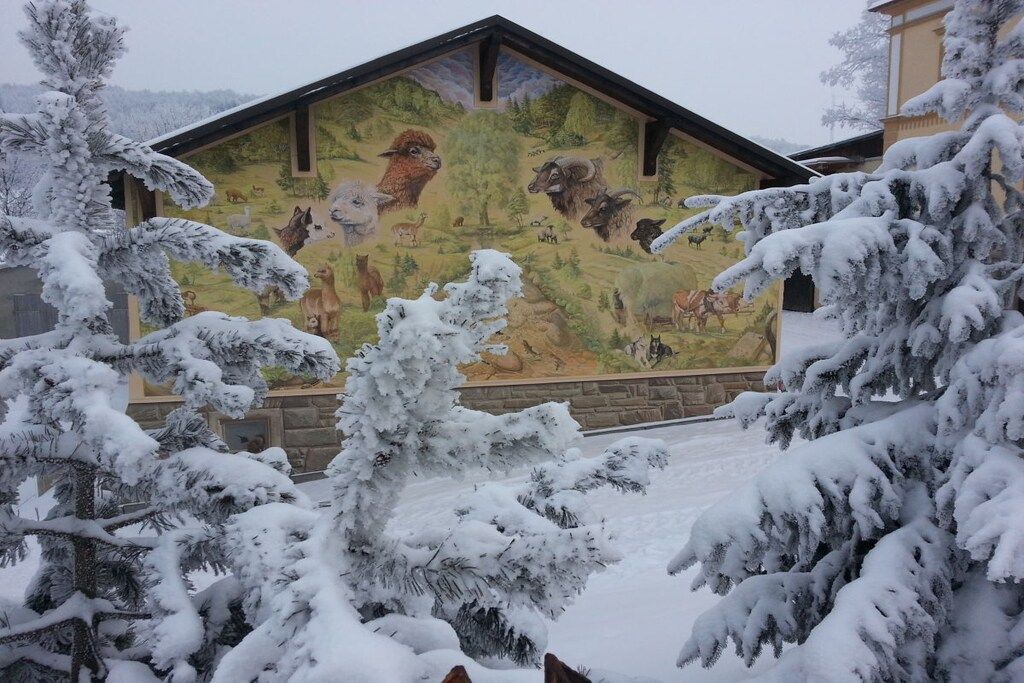 Un edificio con un murale raffigurante animali sulla facciata, circondato da alberi innevati.