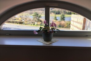 A window with a view of a road and greenery, a potted plant on a window sill, and a curtain partially drawn. - Holiday apartment with 1 bedroom (Meißen)