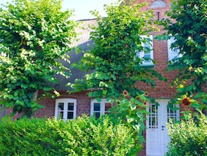 Une maison en briques avec une porte et des fenêtres blanches, entourée d’une végétation luxuriante et d’une haie.