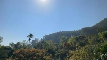 A clear sky with a bright sun, dense forested hills, and a building with a sloped roof.