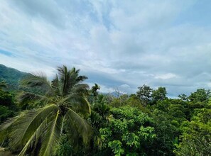 Un paisaje tropical con abundante vegetación y palmeras.