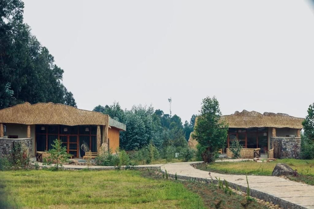 A thatched-roof building with a stone foundation, surrounded by a grassy area and trees.