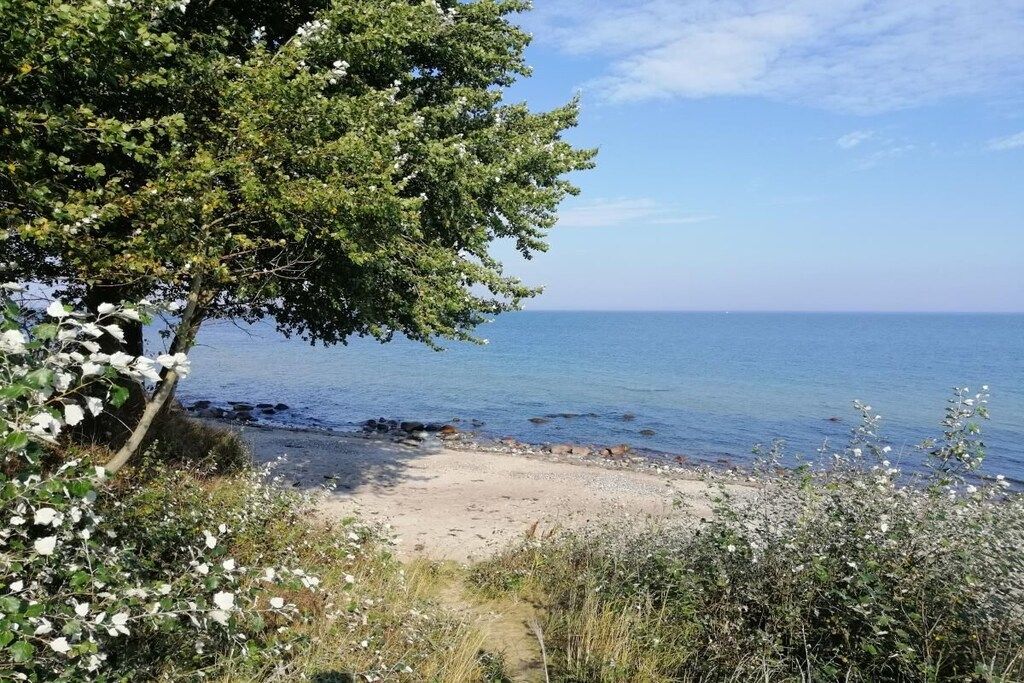 A beach with a tree and clear sky.