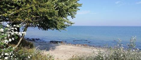 A beach with a tree and clear sky.