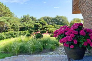 A garden with a potted plant of pink flowers, a stone pathway, and a brick building. - Holiday home in Kampen with swimming pool (Kampen)